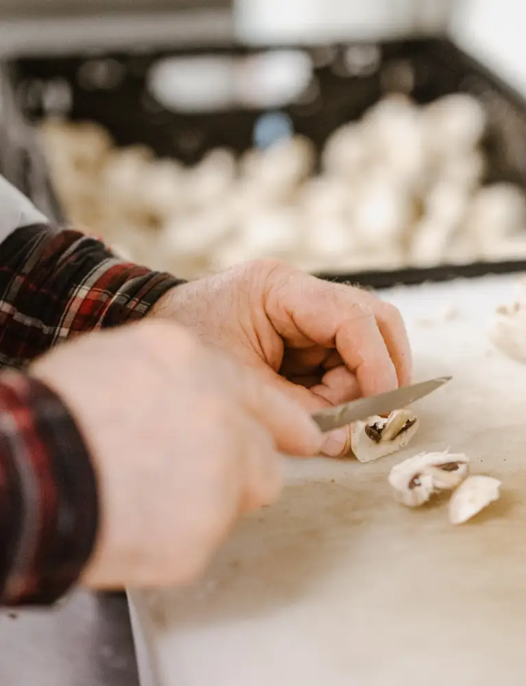 lamelles de champignons
