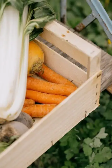 La Chorba - aide alimentaire