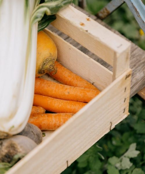 202604 - CHORBA - @2MNDS - MICHAEL MENDES-96