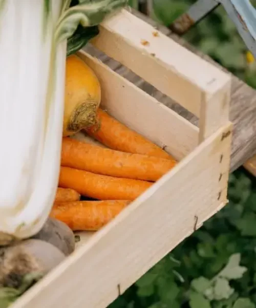 La Chorba - aide alimentaire